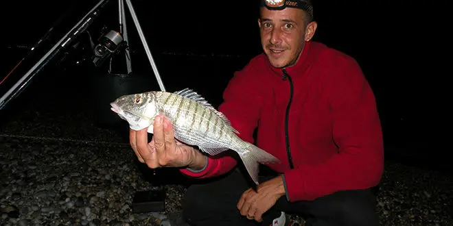 Pêche de nuit en surfcasting