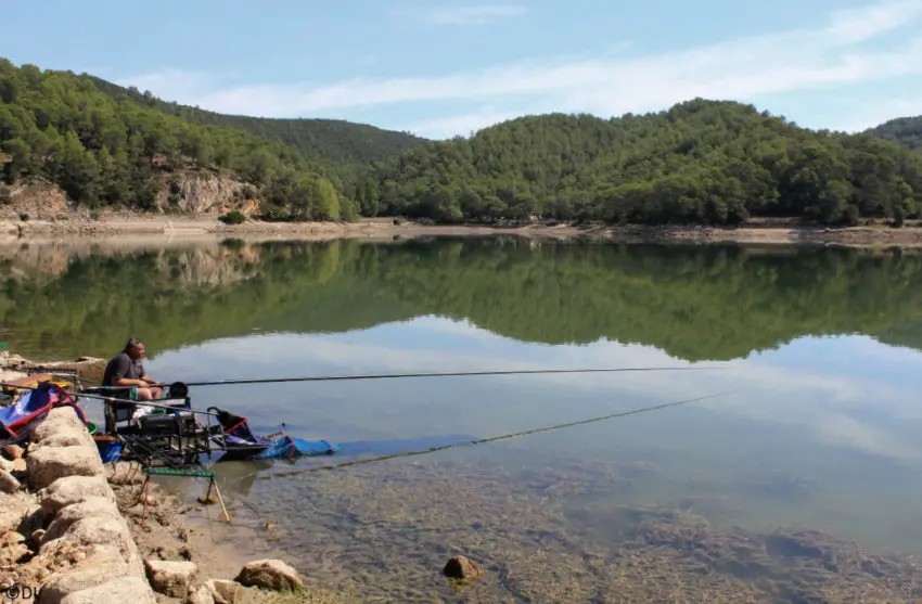 Pêche dans le Var (84)