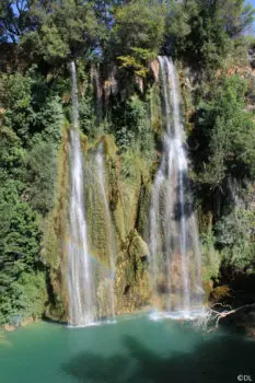 Pêche dans le Var (84)