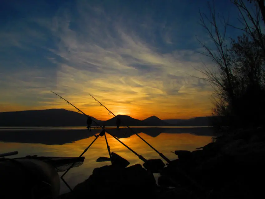 Pêche de la carpe en lac de barrage