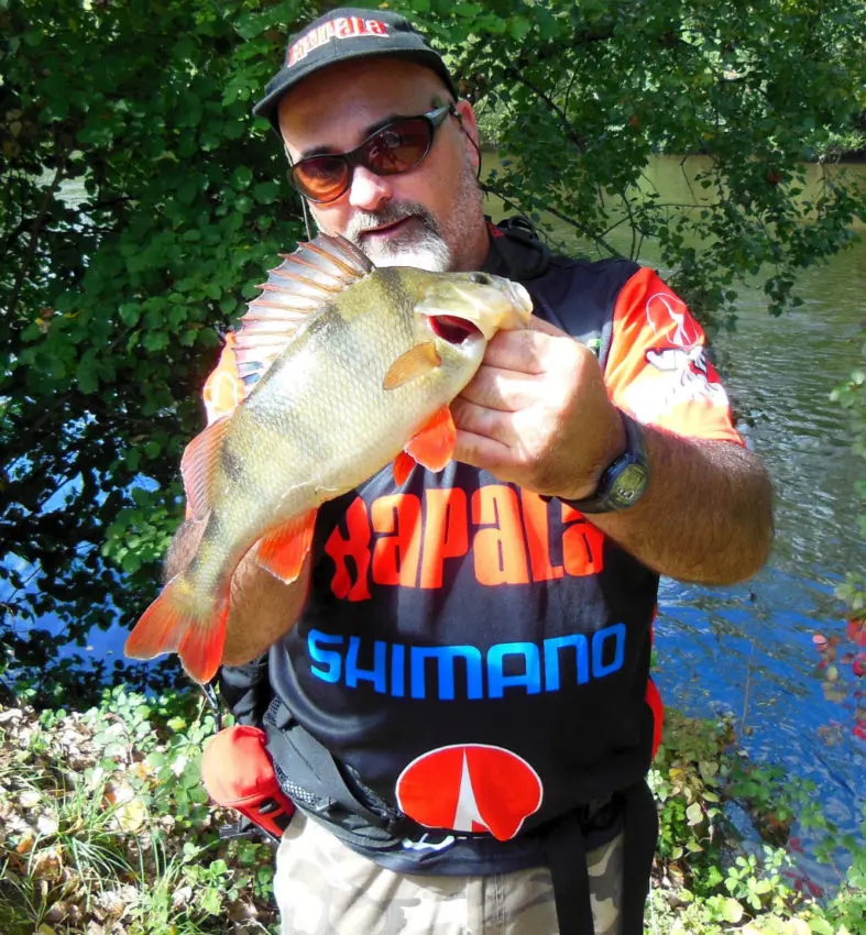 Pêche des carnassiers en compétition