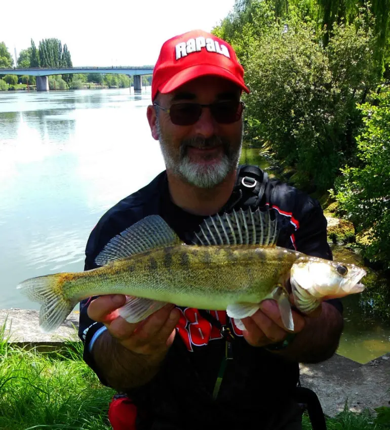 Pêche des carnassiers en compétition