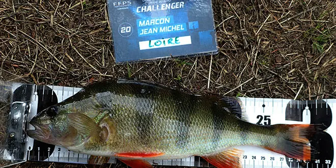 Pêche des carnassiers en compétition