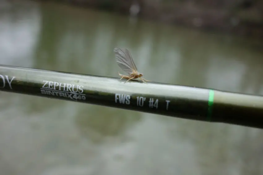 Pêche à la mouche en début de saison