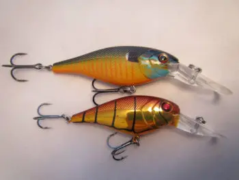 Leurre Berkley Bad Shad