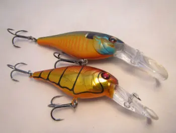 Leurre Berkley Bad Shad