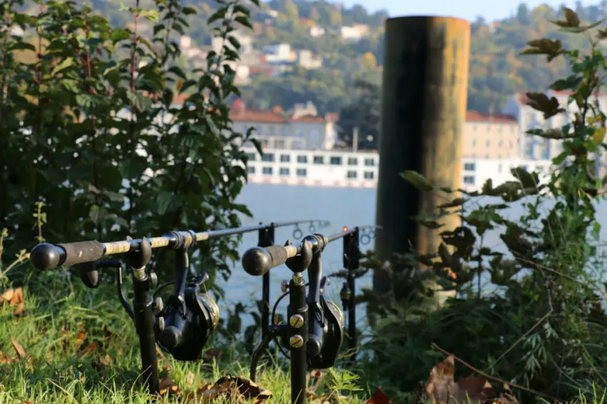 Pêche de la carpe aux piles de pont