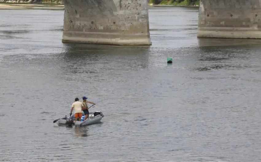 Pêche du silure en loire moyenne