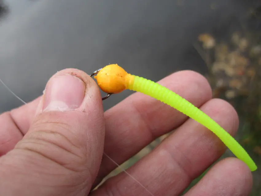 Pêche à la truite en plan d'eau