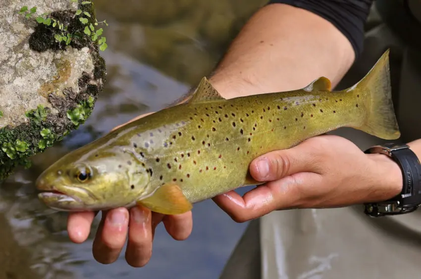 Coin de pêche dans le Var