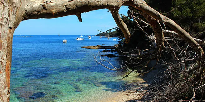 Coin de pêche dans le Var