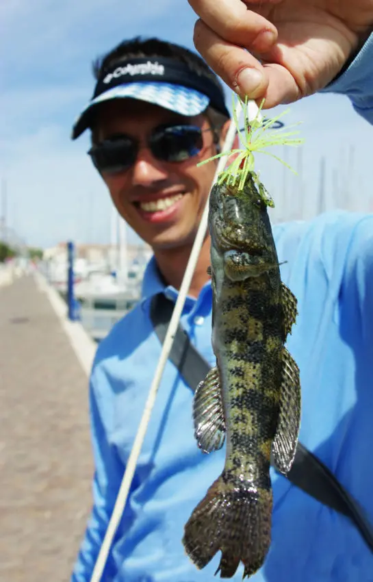 Gobie et rascasse record en rockfishing