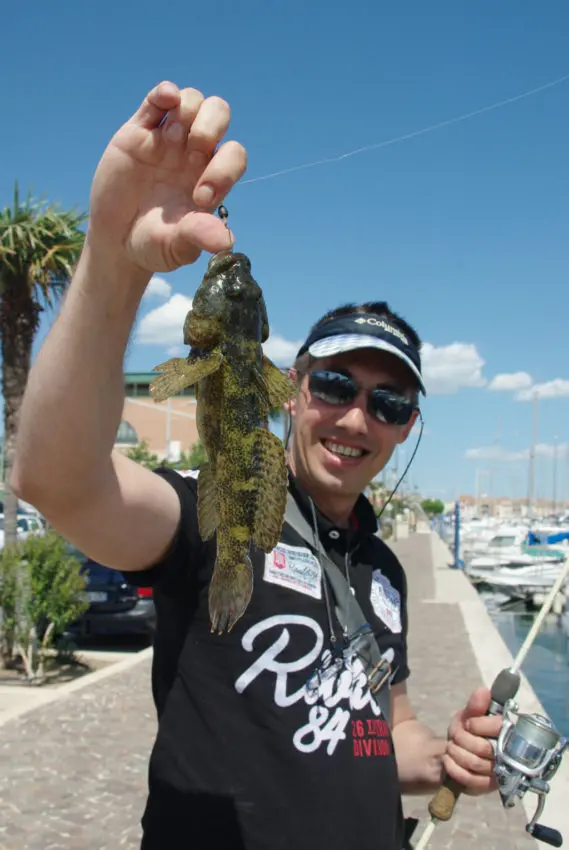 Gobie et rascasse record en rockfishing