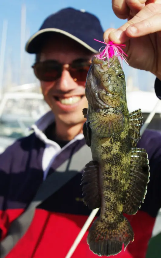 Gobie et rascasse record en rockfishing