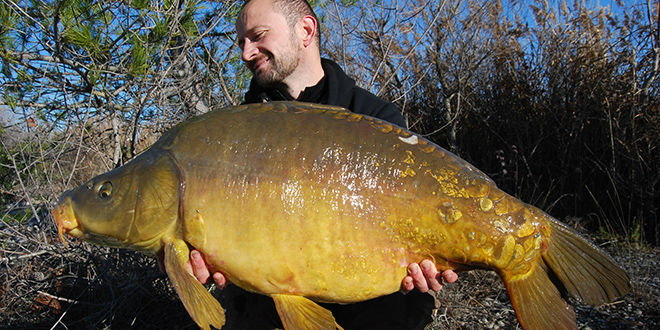 Montage carpe : le bas de ligne carpe complexe ou efficace ? 37 Montage carpe