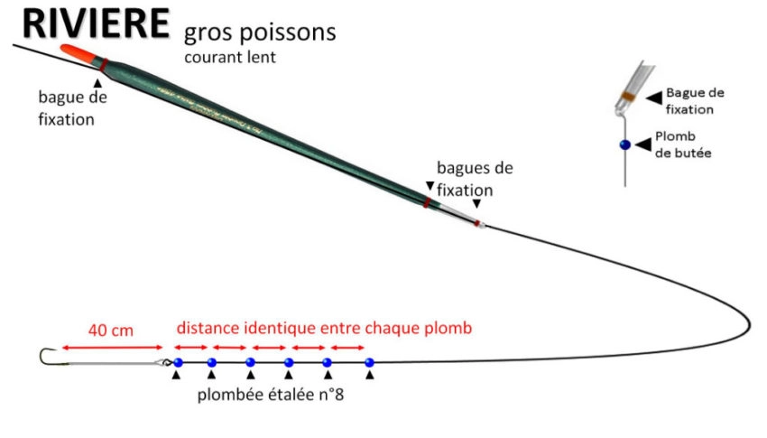 Montage pour pêcher à l'anglaise avec un waggler