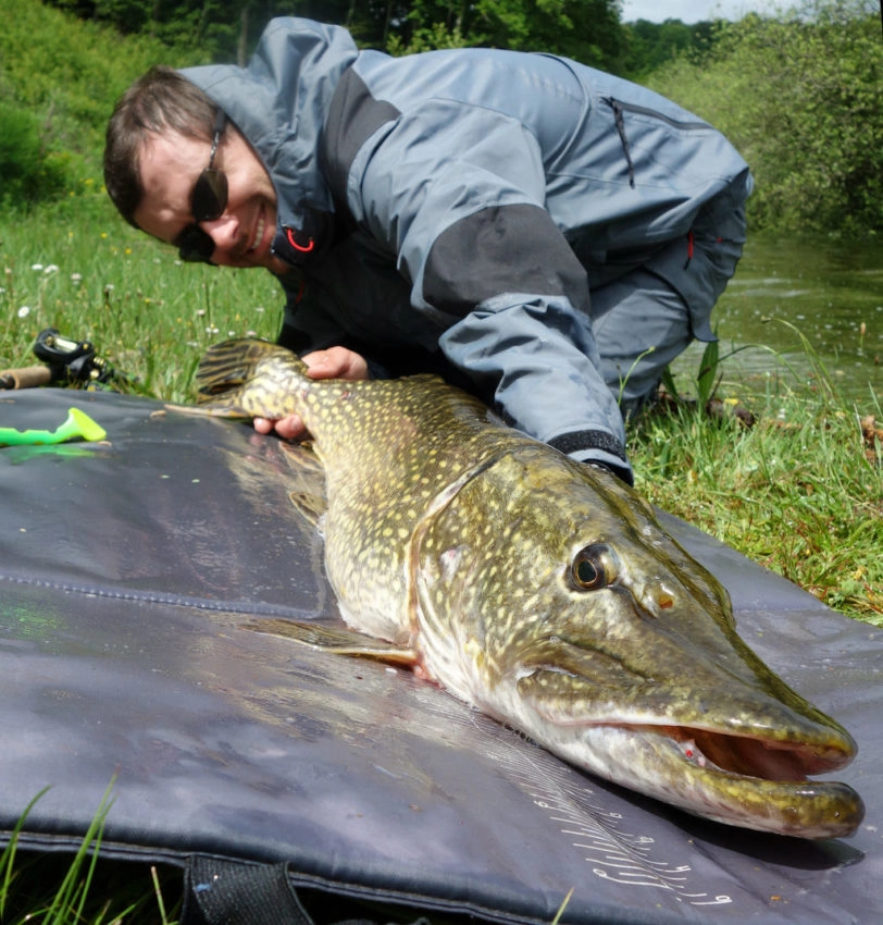 Pêche du brochet au leurre souple type big bait