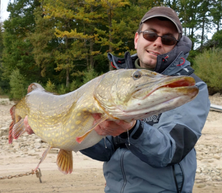 Pêche du brochet au leurre souple type big bait