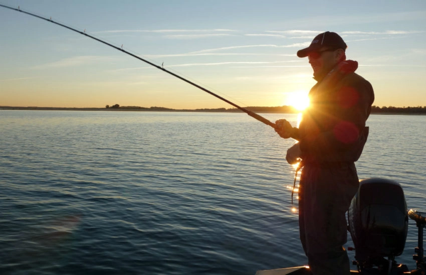 Pêche du brochet au leurre souple type big bait