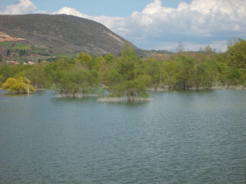 Pêche à la carpe en barrage au printemps