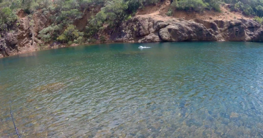 Pêche en Nouvelle Calédonie : carnassiers d'eau douce