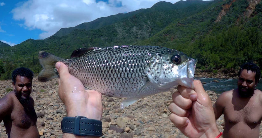 Pêche en Nouvelle Calédonie : carnassiers d'eau douce