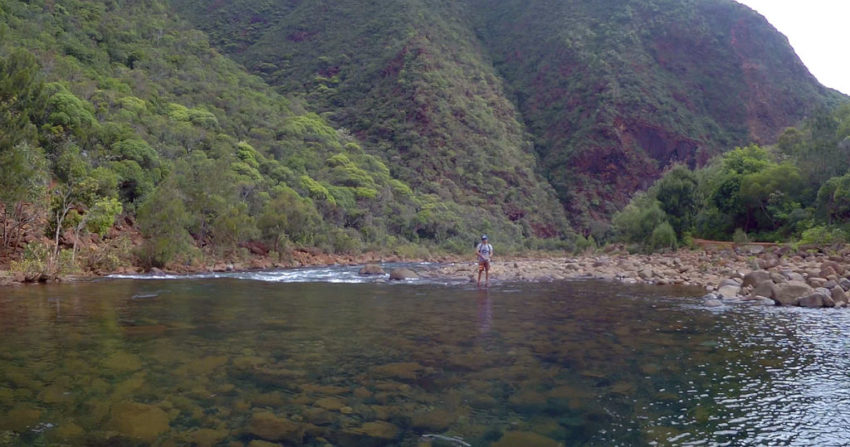 Pêche en Nouvelle Calédonie : carnassiers d'eau douce