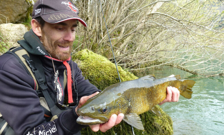 Pêche de la truite aux leurres