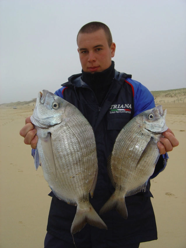 Pêcher les coups de mer en surfcasting