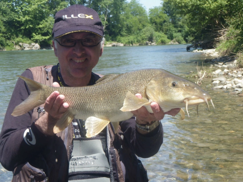 Pêche du barbeau au leurre