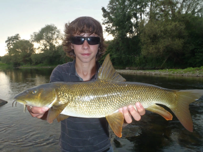 Pêche du barbeau au leurre