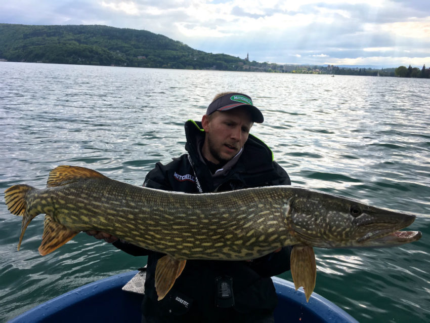 Gros brochet lac Annecy