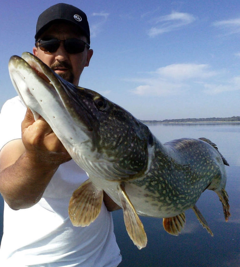 Leurre à palette pour la pêche des carnassiers