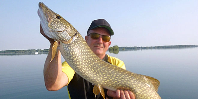 Leurre à palette pour la pêche des carnassiers