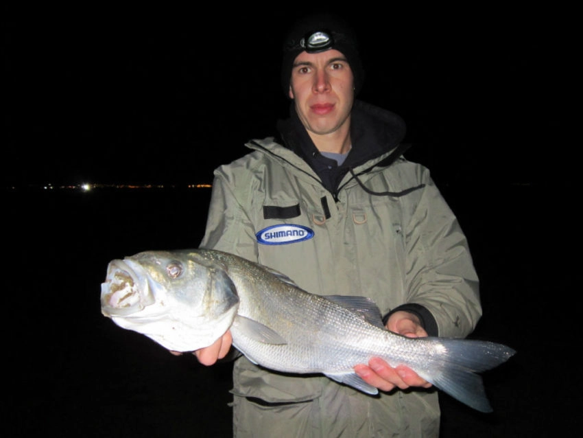 Gros poissons en surfcasting