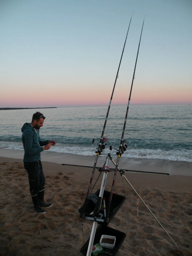 Gros poissons en surfcasting