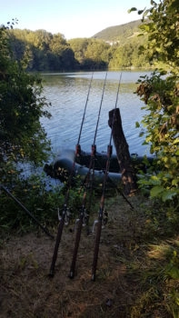 Matériel pêche au silure au pellet