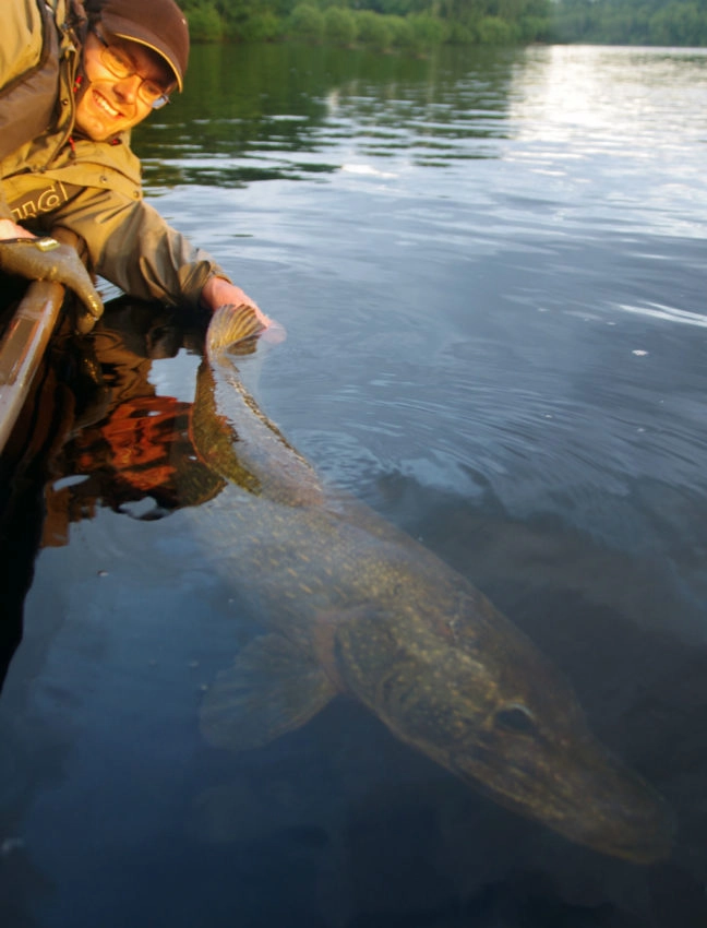 Où pêcher le brochet au leurre souple type big bait