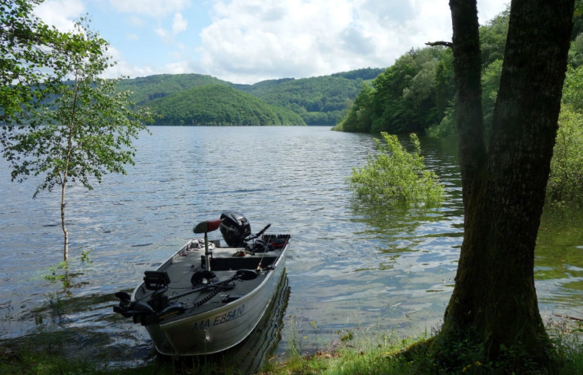 Où pêcher le brochet au leurre souple type big bait