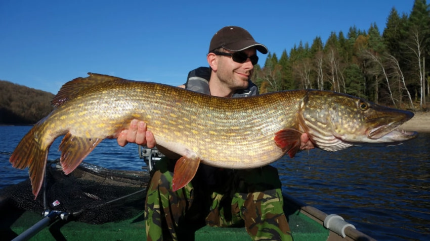 Où pêcher le brochet au leurre souple type big bait