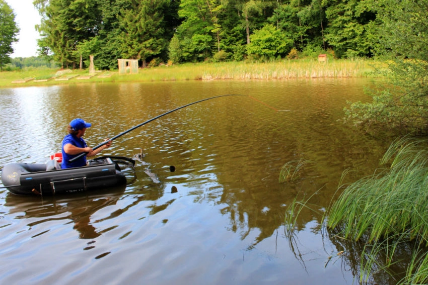 Pêche de la carpe au coup en float-tube