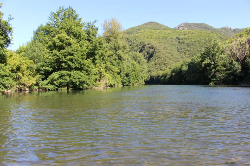 Pêche à la carpe dans les petites rivières