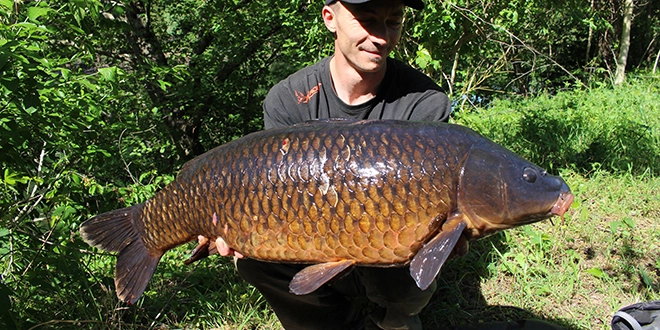 Pêche à la carpe dans les petites rivières