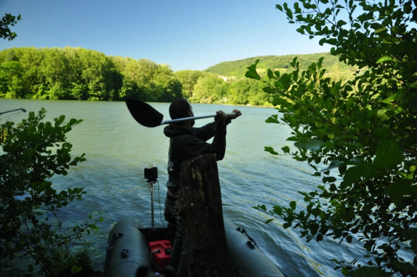 Pêche au silure au pellet