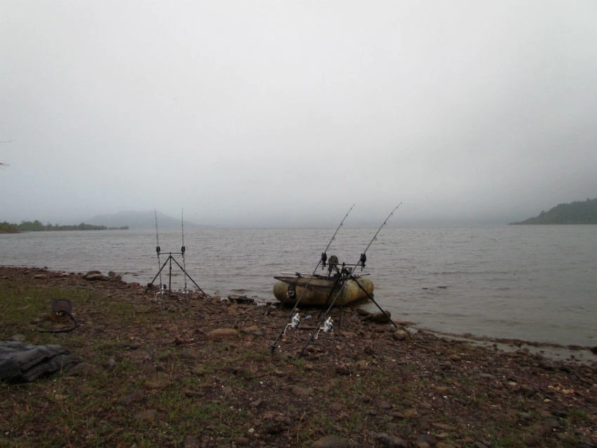 Pêche de la carpe en fonction des saisons