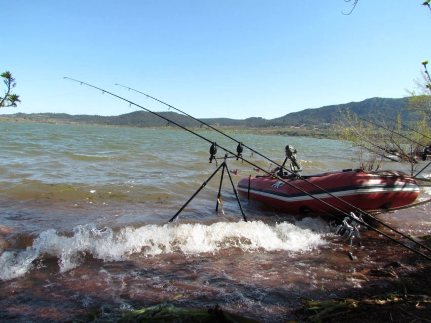 Pêche de la carpe en fonction des saisons