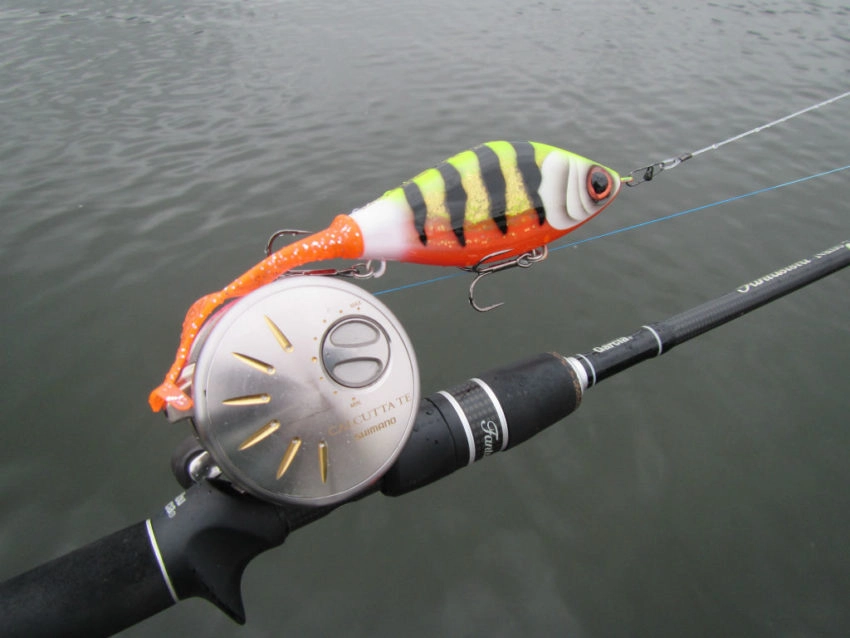 Pêche des carnassiers en casting