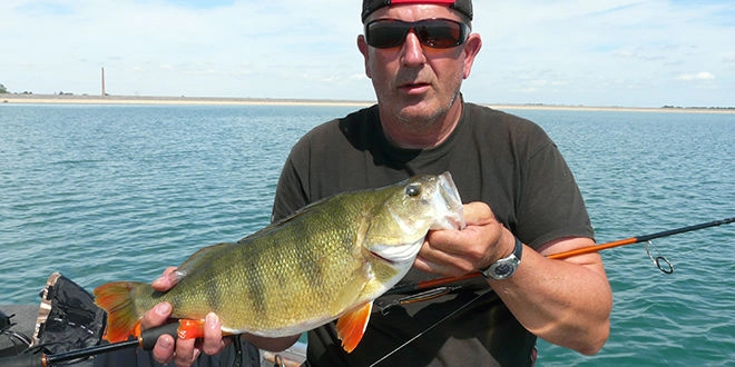 Pêcher la perche en automne