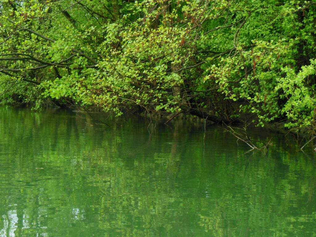 Eviter les accrochages en pêchant le carnassier au leurre