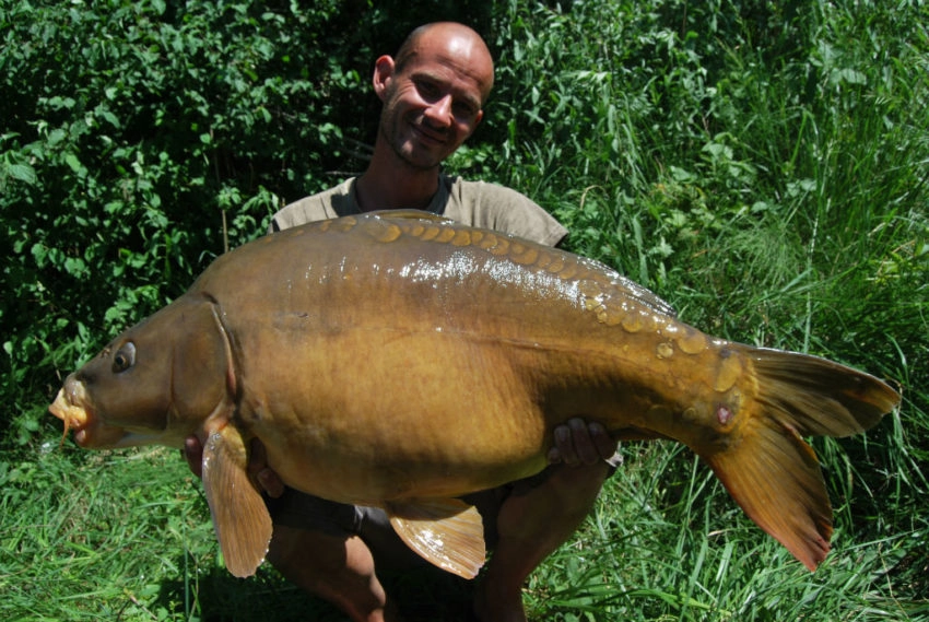 Pression de pêche à la carpe